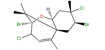 Compositacin L